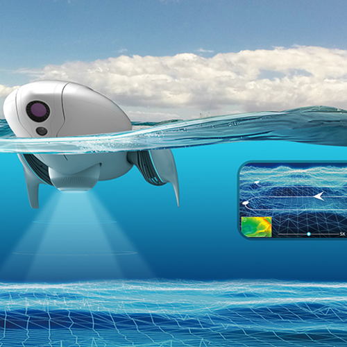 Dove arrivano solo i sub, PowerDolphin è di casa